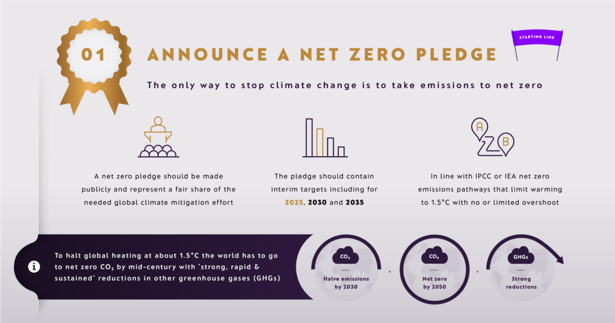 Infographic: Net Zero Guidelines for Non-State… | Net Zero Tracker